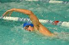 Swimming vs Bentley  Wheaton College Swimming & Diving vs Bentley College. - Photo by Keith Nordstrom : Wheaton, Swimming & Diving